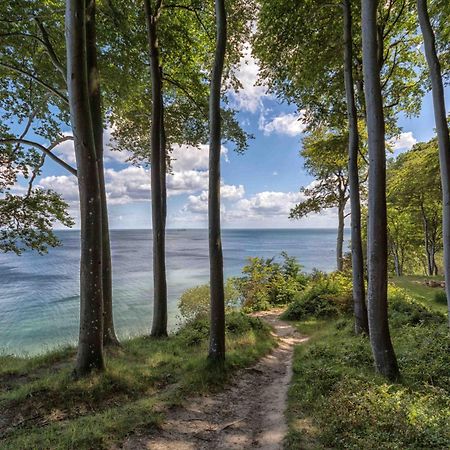 Villa Fernsicht - Wohnung Nr 1 - Mit Meerblick Sassnitz Exteriör bild