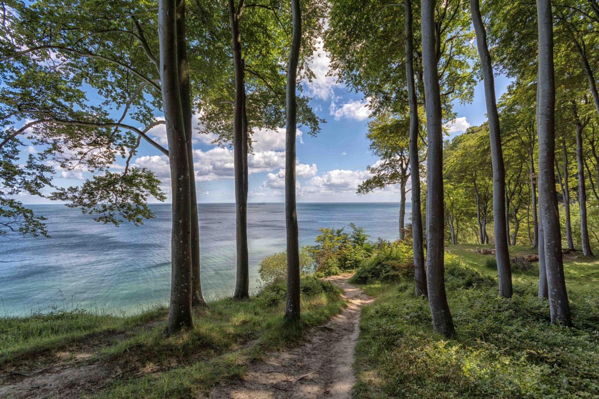 Villa Fernsicht - Wohnung Nr 1 - Mit Meerblick Sassnitz Exteriör bild